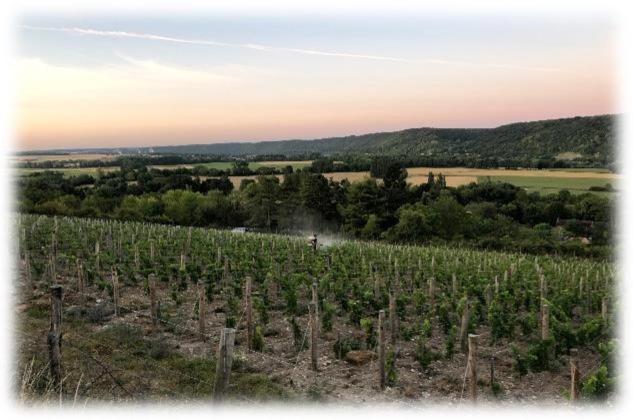 La Petite Maison De Giverny - Gite De Charme 5 Etoiles Au Coeur Du Village - 3 Chambres Εξωτερικό φωτογραφία